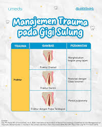Pelatihan